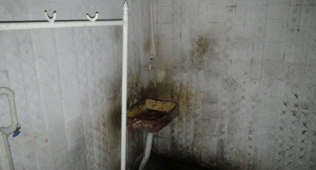 В сети показали, как и где пекут хлеб в Украине, - пользователи в шоке В сети показали, как и где пекут хлеб в Украине, - пользователи в шоке