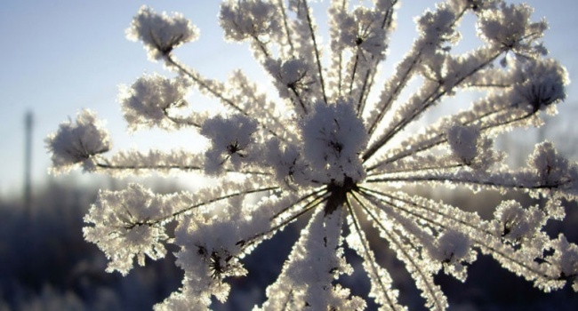  ���� �������� �������� ������� ���� 