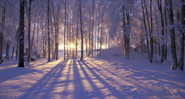  �������� ��������� ������ �������� 