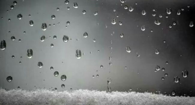  ������ ������� �������� �������� ����� ������� 