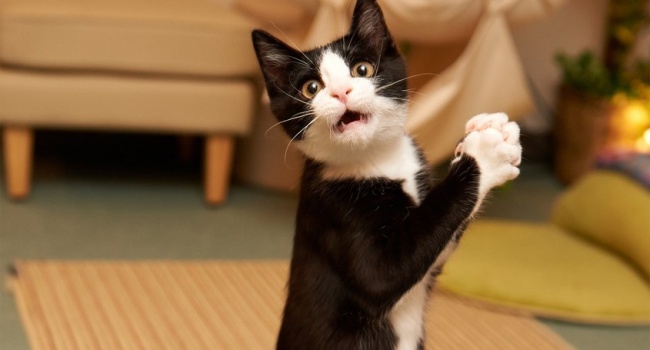 ����: replyua.net