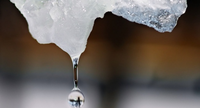  ����� �������� ��������� ������� ��������� ��������� ��� 