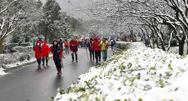 Аномальные морозы на Тайване: стало известно о гибели десятков людей