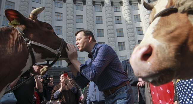 Политолог: кто-то целует коров, кто-то говорит про «зубожіння», а кто-то платит дотации гражданам за удержание коров – 2500 грн Политолог: кто-то целует коров, кто-то говорит про «зубожіння», а кто-то платит дотации гражданам за удержание коров – 2500 грн
