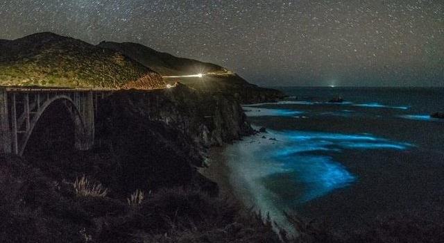 Океан у побережья Калифорнии засветился в ночное время
