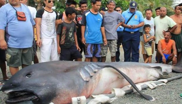 Филиппинские рыбаки: в мире должно произойти что-то ужасное