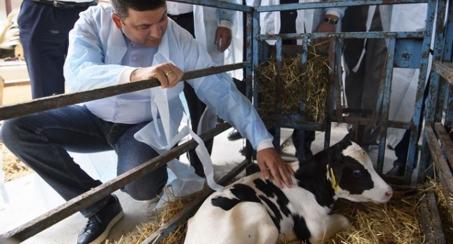  �������� ��������� ������ ������� �������� 2018 