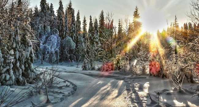  ����� ������ ���� ��������� ������ ��������� ��� 