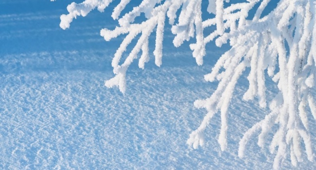  ������� ������ �������� ��������� ���������� ������� ��������� 