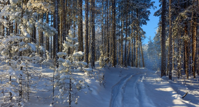  ��������� ������� ��������� ���� 