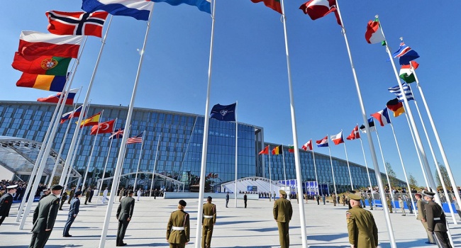 Грузия может стать членом НАТО по ускоренной процедуре 