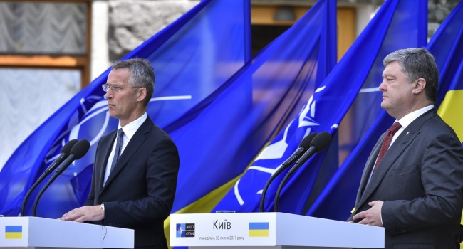 Нусс: Украина со своим трагическим, но военным опытом намного надежнее партнер НАТО, чем Венгрия Нусс: Украина со своим трагическим, но военным опытом намного надежнее партнер НАТО, чем Венгрия
