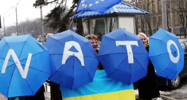 НАТО: «За 4 года Украина приблизилась к альянсу»