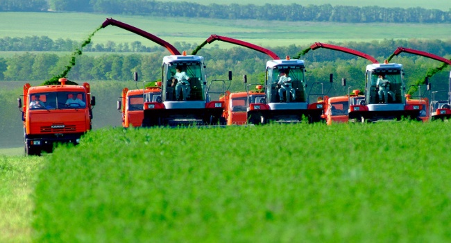 Канада инвестирует миллионы долларов в сельское хозяйство Украины