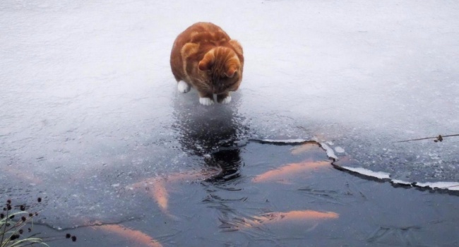  ���� ����� �������� ���������� ������� ��������� 