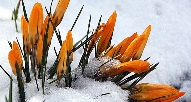  �������� ������������ ������� ��������� ��� 