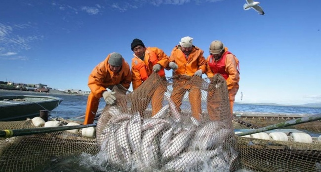  ������� ���������� ������ ������� ����������� 