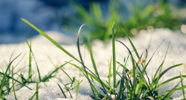  �������� ���������� ������� ����������� ��������� 