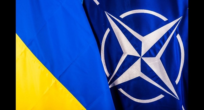  ������� ������ �������� ���� ������ 