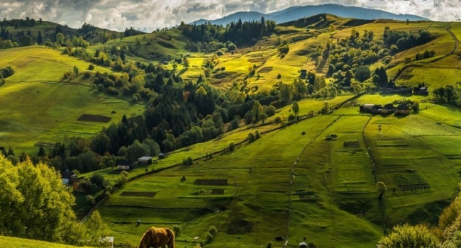  ������� ������� �������������� ������������� �������������� �������� 