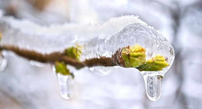  ����� �������� ������� ������� ���������� 