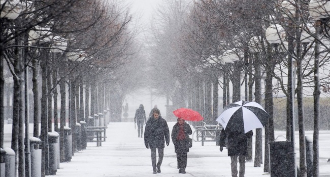  ������ ����� �������� 