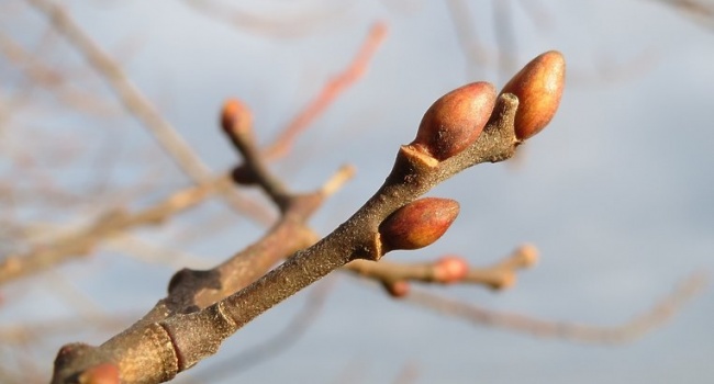  �������� ������ ������� ����������� 