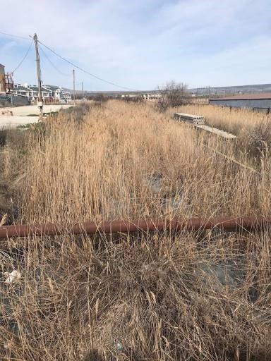 Крым на грани экологической катастрофы: местные жители бьют тревогу 