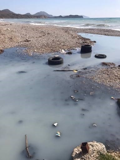 Крым на грани экологической катастрофы: местные жители бьют тревогу 