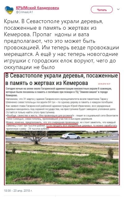 В Крыму разворовали аллею, которая была посажена в честь жертв пожара в Кемерово: в интернете насмехаются 