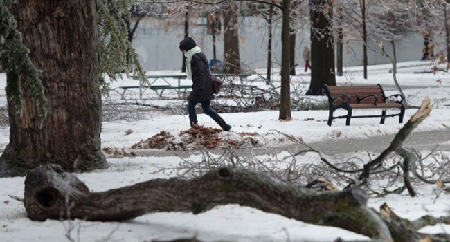 Природная аномалия: Торонто завалило снегом и ледяным дождем