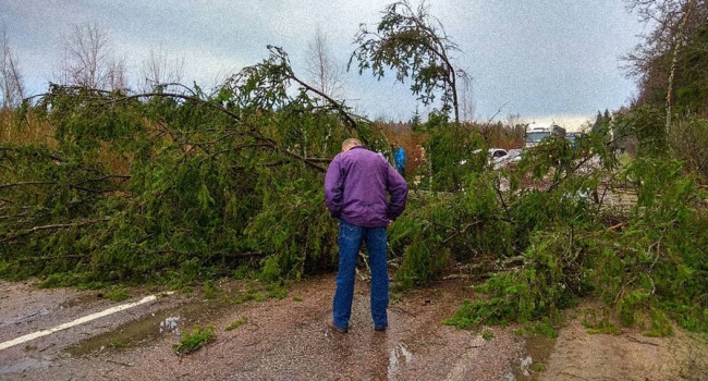 Последствия сильного урагана в Москве, - фото