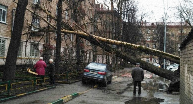 Последствия сильного урагана в Москве, - фото