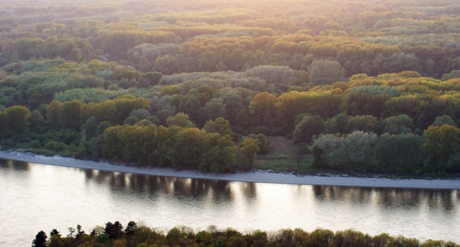 В Дунае нашли пять противолодочных мин
