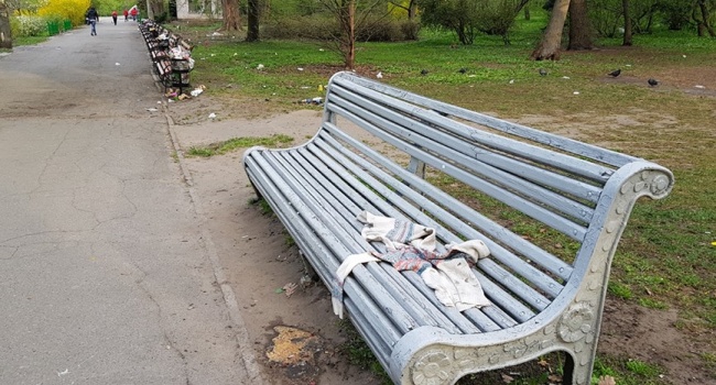 Ботанический сад в Киеве превратили в свалку: опубликованы возмутительные фото 