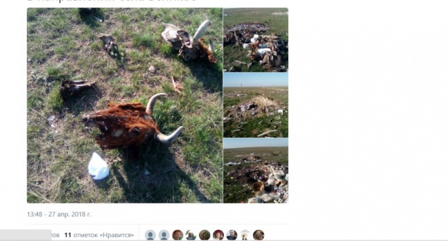 Интернет всколыхнули страшные фото из Крыма