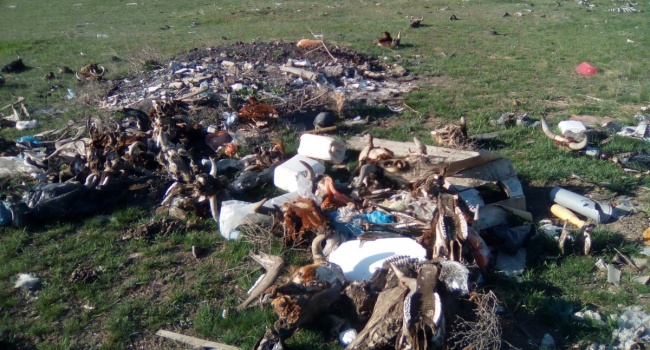 Интернет всколыхнули страшные фото из Крыма Интернет всколыхнули страшные фото из Крыма