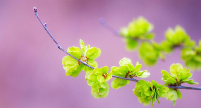  �������� �������� ����� ����� 