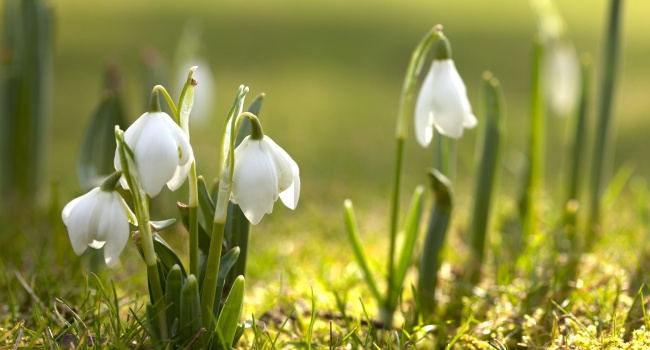  ����������� ��������� ����� �������� ���������� ��������� 