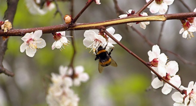  ����������� �������� ������ ����� 