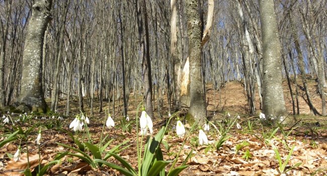  ������ �������� �������� 