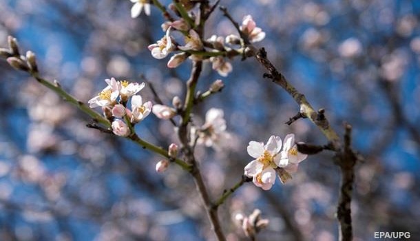  �������� ���������� ������ ���������� ������� 