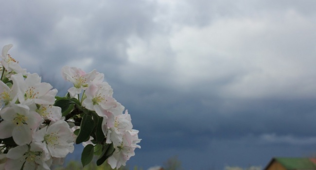  ��������������� ������� ��������� ����� ����� 