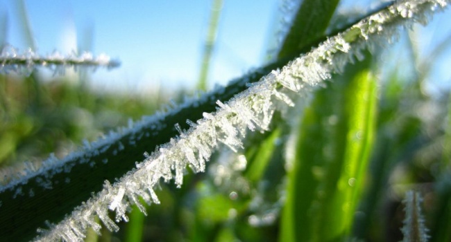  ��������� ������ �������� �������� 