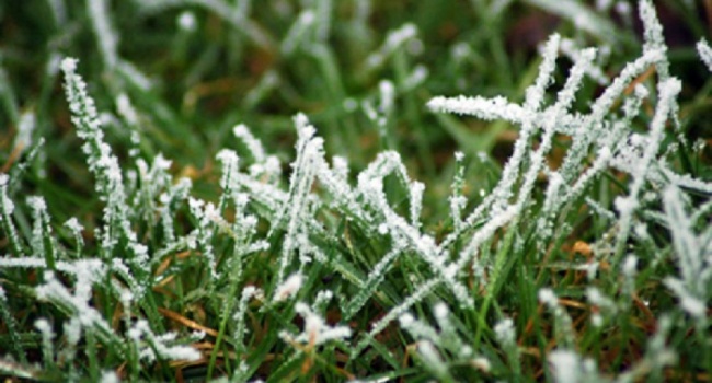  �������� ������� �������� ������ 