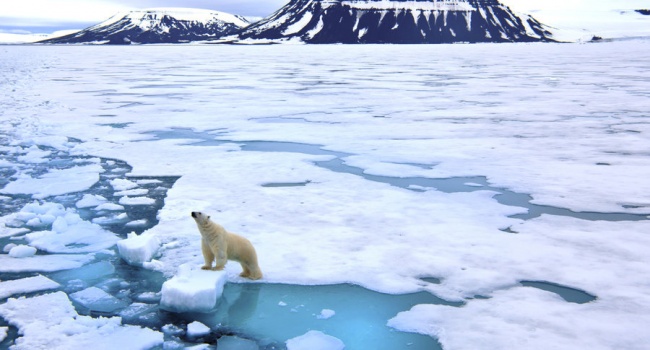  ��� ��� ���������� �������� ������ ������� 