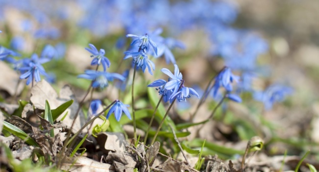 ����: replyua.net