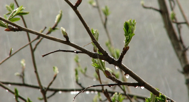  ������� ����� ����� ������� ����� 