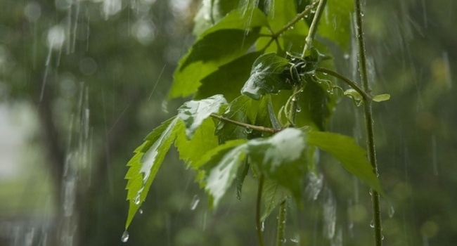  ������� �������� ����� ������� ����� ������� ����������� 