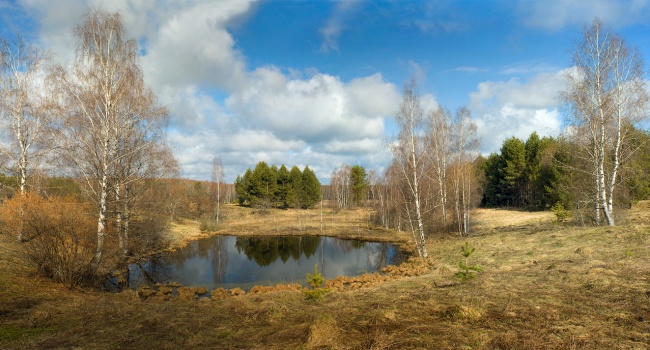  �������� ������� ������� ����������� ������� 